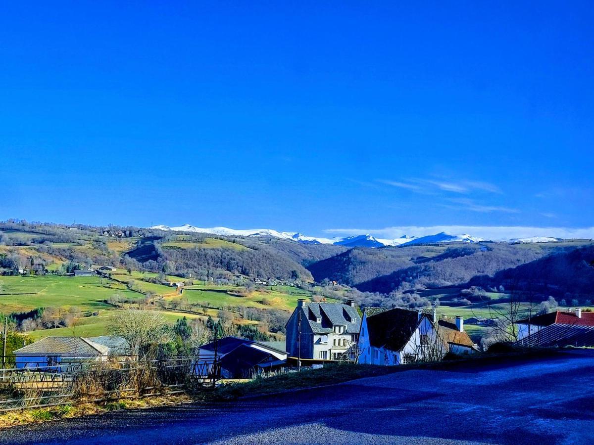 Gites Puy Mary Et Puy Griou Saint-Cernin  Luaran gambar